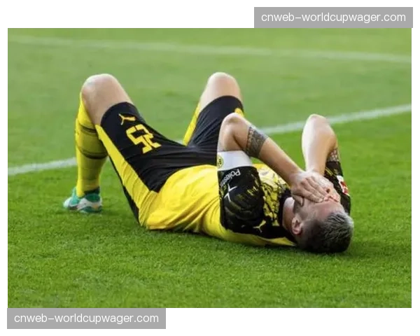 聚勒伤退瞬间：多特蒙德后卫掩面倒地，可能已结束黄黑军团生涯